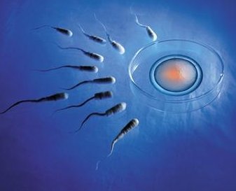 泉州泉港区试管婴儿哪家好，泉州哪家试管婴儿医院好