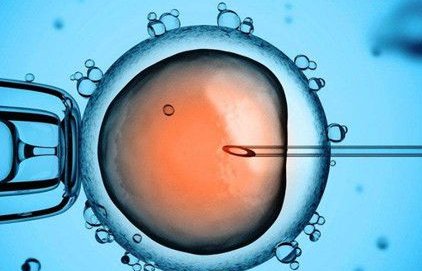 试管对女人的伤害大吗？附整个过程详细解析！