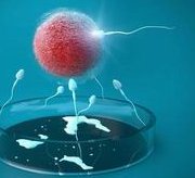 哪些地方可以做试管婴儿？对医院有什么要求？